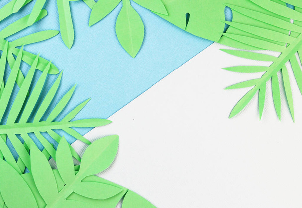 Green paper tropical palm leaves on a pastel blue and white background. summer exotic background top view - Foto, Bild