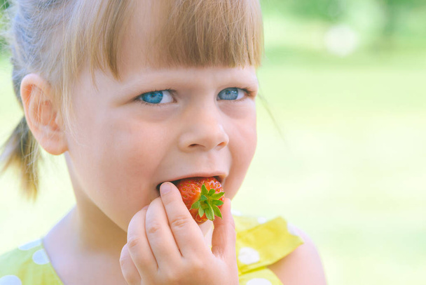 pieni lapsi tyttö syö herkullisia juuri poimittuja punaisia mansikoita marjat kerätään kotipuutarhassa
 - Valokuva, kuva