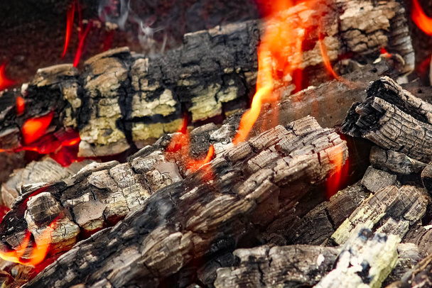 Fire with coals and fire on nature picnic background. Burns out a bonfire for food on the street - Fotoğraf, Görsel