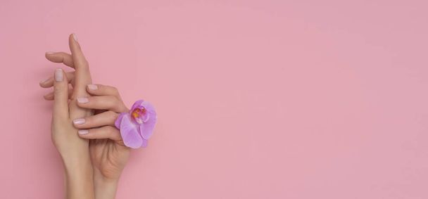 Mano femminile con fiore di orchidea isolato su sfondo rosa. Francese, manicure delicata
. - Foto, immagini