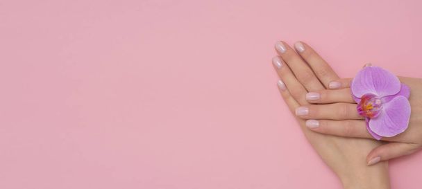 Female hand with orchid flower isolated on pink background. French, delicate manicure. - Fotografie, Obrázek