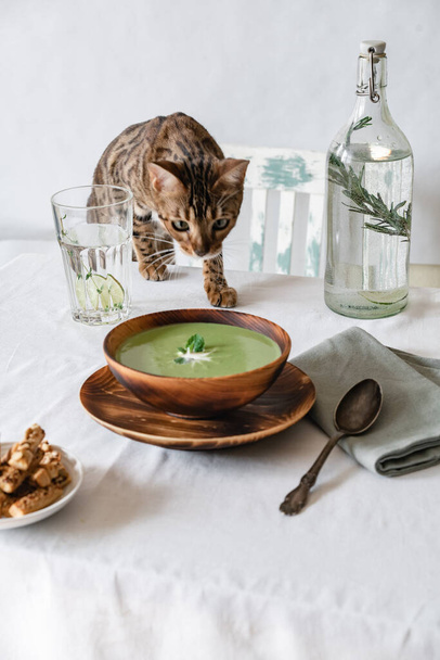 Soup with green peas and crackers in a wooden plate on a white table on which stands a Bengal cat - Photo, image