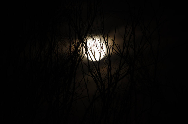 Sobras en la luna en una noche negra
 - Foto, Imagen