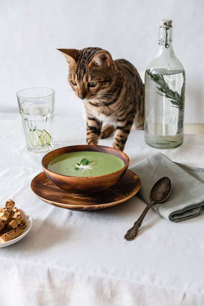 Soup with green peas and crackers in a wooden plate on a white table on which stands a Bengal cat - Photo, image