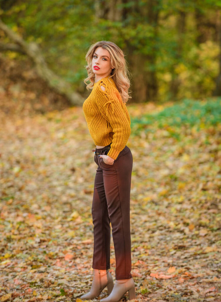 Trendy clothes. Woman wear warm sweater nature background defocused. Gorgeous lady feeling cozy in woolen sweater. Walk in fall park. Fancy girl wear knitted sweater. Style is all about balance - Foto, afbeelding