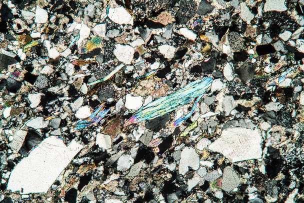 roccia calcarea al microscopio 50x
 - Foto, immagini