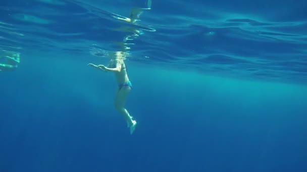 žluté moře ryb plavání kolem korály - Záběry, video