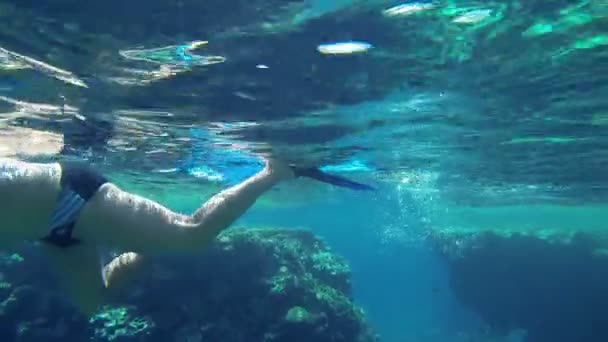 Macho en aletas nadando bajo el agua
 - Imágenes, Vídeo