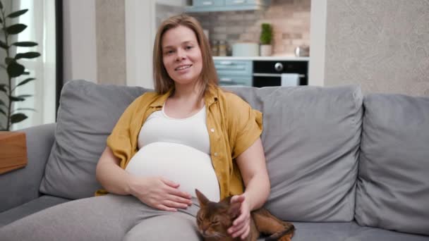 Adorable and Cute 20s Smiling Woman Sit on Couch and Enjoy Caress Funny Cat - Video