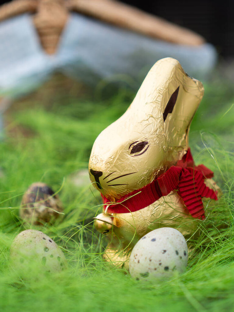 Το πασχαλινό σοκολατένιο κουνέλι κυνηγάει χαρούμενα αυγά. Χρυσό λαγουδάκι. Όμορφο θέμα  - Φωτογραφία, εικόνα
