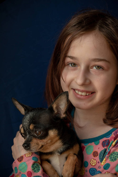 Little girl with a chihuahua. Girl holding chihuahua. Girl with her pet in her arms. Chihuahua in black brown white color. Children love their animals. Girl and chihuahua. Children love their animals - Fotoğraf, Görsel