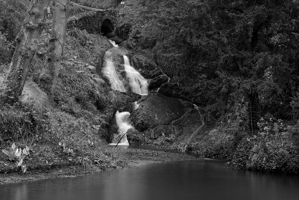 Conwy.Wales.Spojené království.18. března 2017.Dlouhá expozice vodopádu v lesích v Bodnant Garden v Conwy v severním Walesu - Fotografie, Obrázek