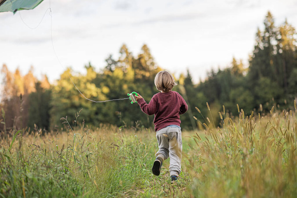 Blick von hinten auf einen kleinen Jungen, der mit einem Drachen durch die schöne Herbstwiese rennt.  - Foto, Bild