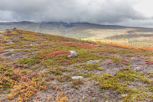 Sarek National Park in northern Sweden in autumn, selective focus - Foto, Imagen