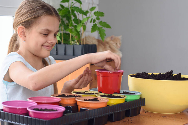 Vrolijk meisje plant zaden in potten - Foto, afbeelding