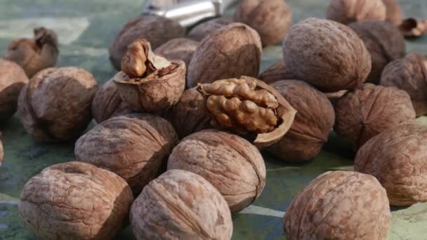 Jedlé semínko drupe vlašského ořechu - Záběry, video