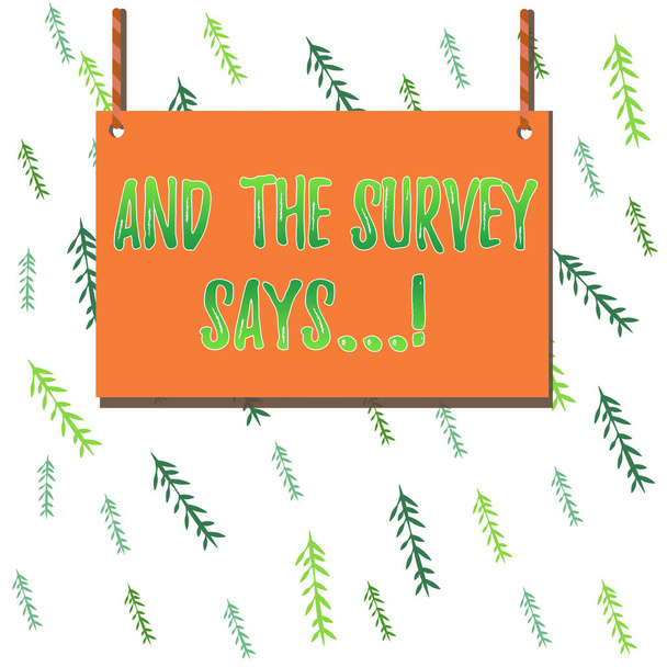 Handwriting text And The Survey Says. Concept meaning written spoken results of short quiz or exam on internet Wooden board wood rectangle shape empty frame fixed colorful striped string. - Photo, Image