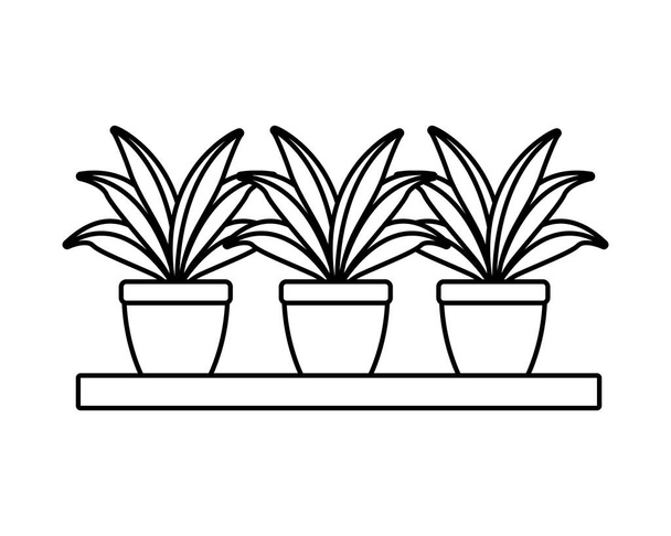 dřevěná police s dekorací pokojových rostlin - Vektor, obrázek