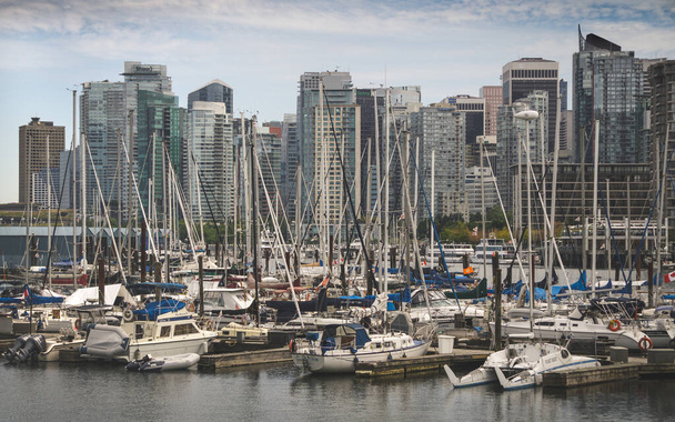 Harbor located in Stanley park - Photo, image