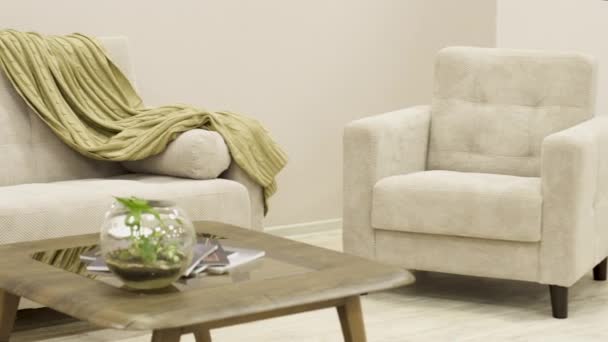 Sofá têxtil branco acolhedor com cadeira de design e um xadrez decorativo
 - Filmagem, Vídeo
