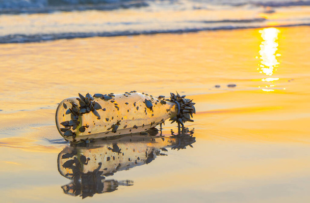 Vieja botella de vidrio se encuentra en la playa al atardecer
 - Foto, Imagen