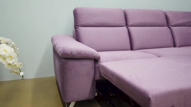 Klappbares lila Sofa mit minimalistischem Design in einem gemütlichen Wohnzimmer-Interieur - Filmmaterial, Video