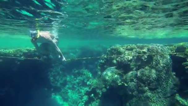 ludzie z maski pływanie na korale w morze - Materiał filmowy, wideo