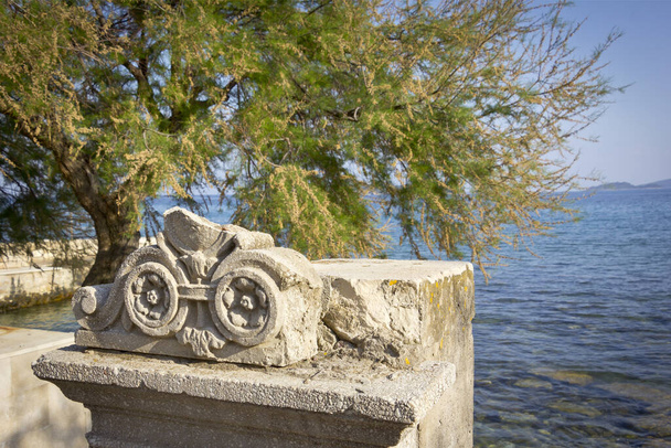 Old fountain with an ornament and a Tamarix Tree. A tamarisk stands right on the shore of the Adriatic in Orebic, Croatia. The tamarisk is a typical tree of the Mediterranean region. - Photo, Image