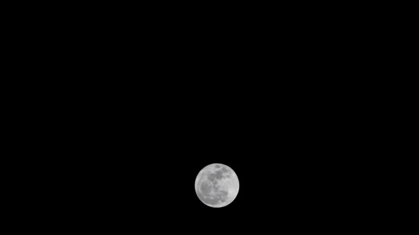 Mooie volle maan schijnt helder op donkere hemel.Outdoor 's nachts, camera kantelen naar beneden. - Video