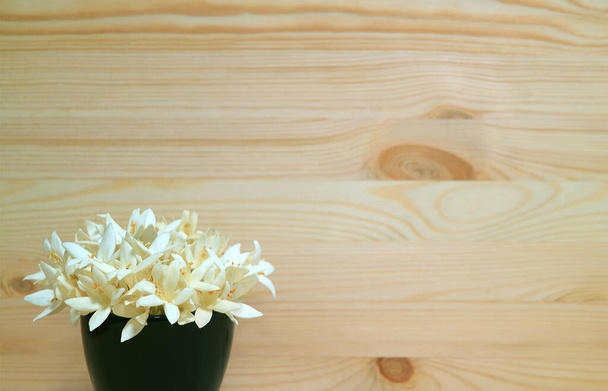 Widok z przodu Białe Millingtonia Kwiaty w głębokim niebieskim wazonie na drewnianym tle z miejsca kopiowania - Zdjęcie, obraz