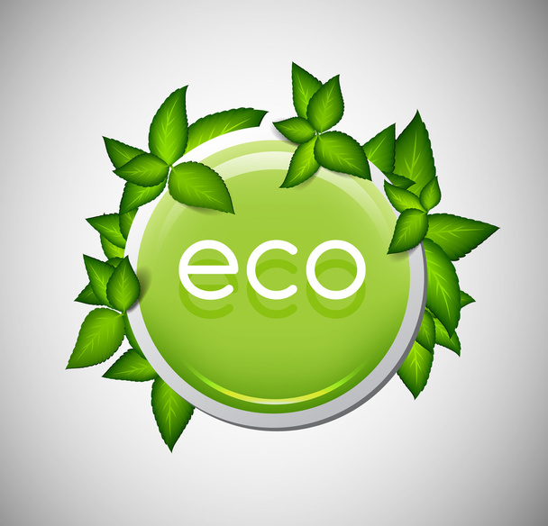 Shiny green glass vector badge with green leaves - eco - Вектор,изображение