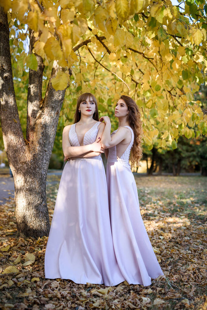 Two young princess wearing nice beige dress in autumn park. Fashion photo. - Photo, Image