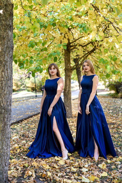 Dvě velmi krásné mladé dámy v módních modrých šatech v podzimním parku. - Fotografie, Obrázek