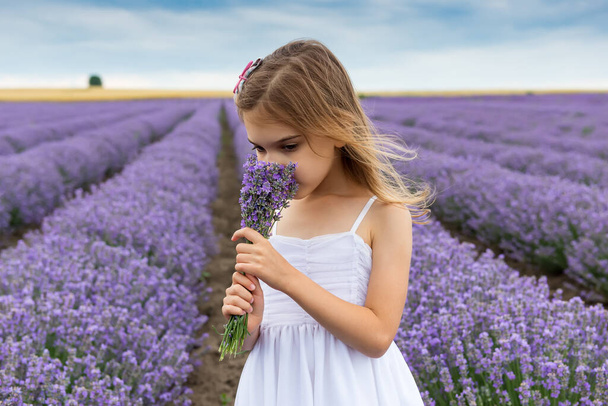 Portrait of a little girl in a fully bloomed lavender field, holding a bundle of lavender and enjoying its aroma - Fotografie, Obrázek