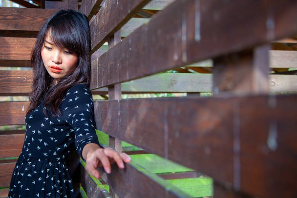 Hübsches asiatisches Mädchenporträt in Holzhütte. Ausdrucksstarkes Porträt einer einsamen Frau. - Foto, Bild