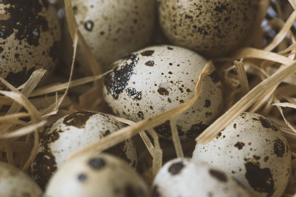 quail eggs in a basket, shot on a white background - Фото, изображение