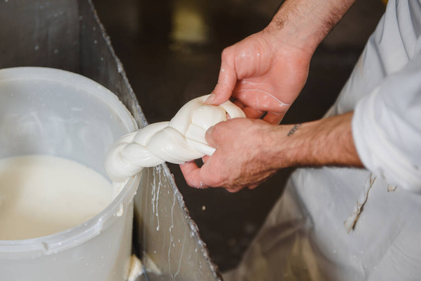 A homemade cheese producer, produces handmade mozzarella with fresh quality milk from her cows sheep in the morning. Concept of: tradition, italy, mozzarella. - Foto, afbeelding