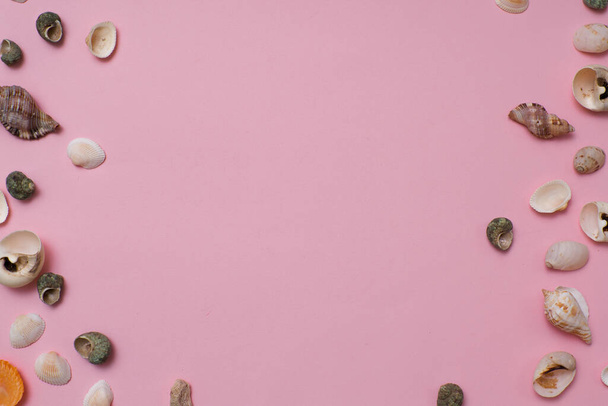 Различные ракушки на ярко-розовом фоне, концепция отдыха у моря
. - Фото, изображение