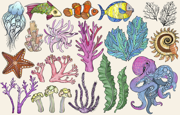 Sketch of deepwater living organisms, fish and algae - Vektör, Görsel