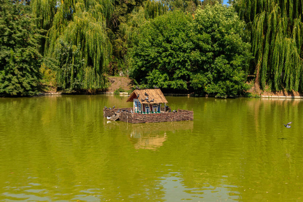 都市公園の湖に水鳥やカメのための木造住宅 - 写真・画像