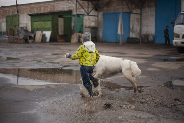 A child runsA child runs through the puddles with a dog.  - Foto, afbeelding