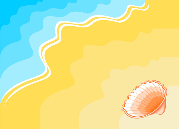 Seashell - Vector, afbeelding