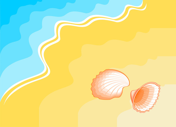 Seashell - Vektor, obrázek