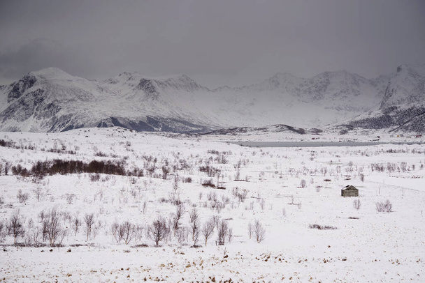 Яскравий зимовий ландшафт на острові Лофотен (Норвегія). - Фото, зображення