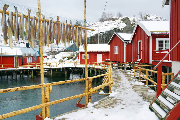  Imagem da aldeia de Nussfjord, Ilhas Lofoten. Aldeia piscatória histórica da Noruega na água, Europa
 - Foto, Imagem
