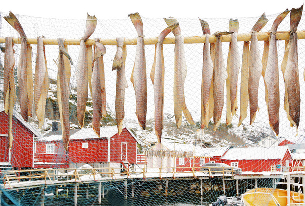  Nussfjord falu képe, Lofoten-szigetek. Norvégia történelmi halászfaluja a vízen, Európa - Fotó, kép