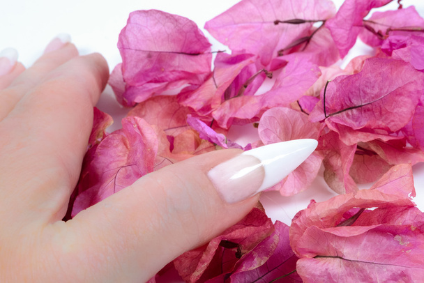 pointed nails with a French manicure - Photo, Image