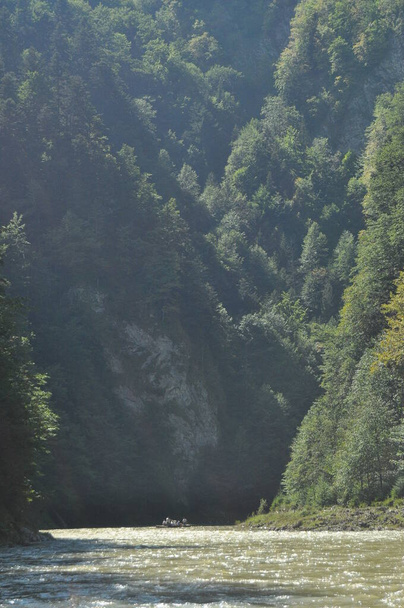 Rafting no rio Dunajec no Pieniny National Park em vaivéns dobráveis de madeira amarrados com uma corda. Rafters remando em um riacho rápido com um fundo rochoso e forte corrente fluvial
. - Foto, Imagem