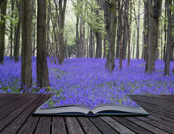 creatief concept pagina's van boek levendige bluebell tapijt lente fo - Fotoğraf, Görsel