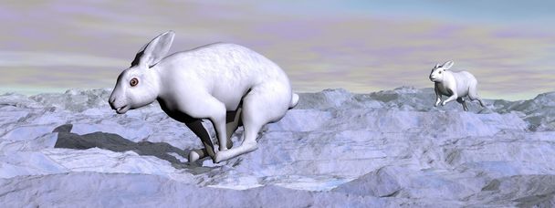 Liebres árticas - 3D render
 - Foto, Imagen